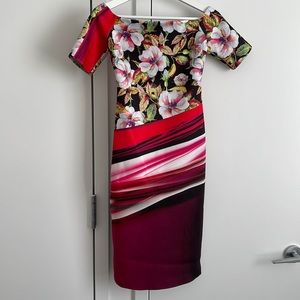 Clover canyon dress